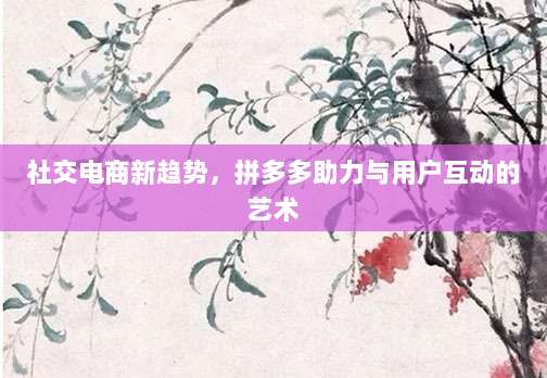社交电商新趋势，拼多多助力与用户互动的艺术