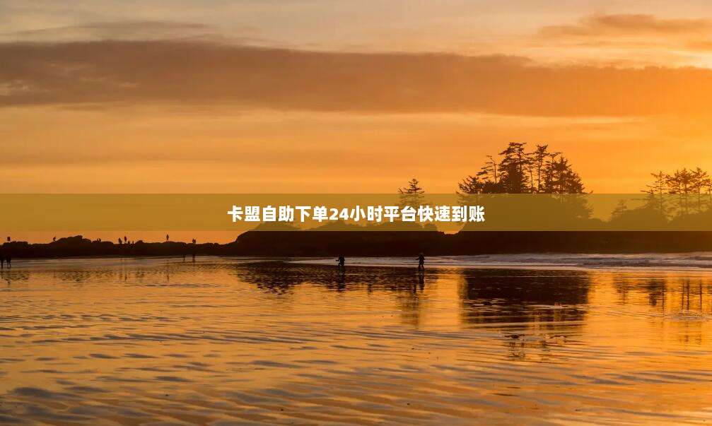 卡盟自助下单24小时平台快速到账