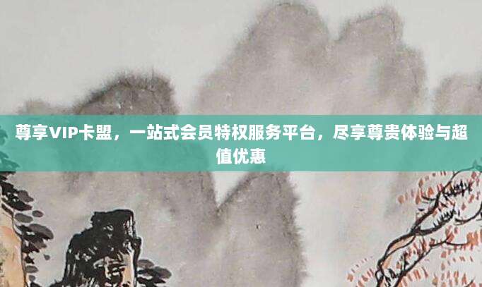 尊享VIP卡盟,一站式会员特权服务平台,尽享尊贵体验与超值优惠