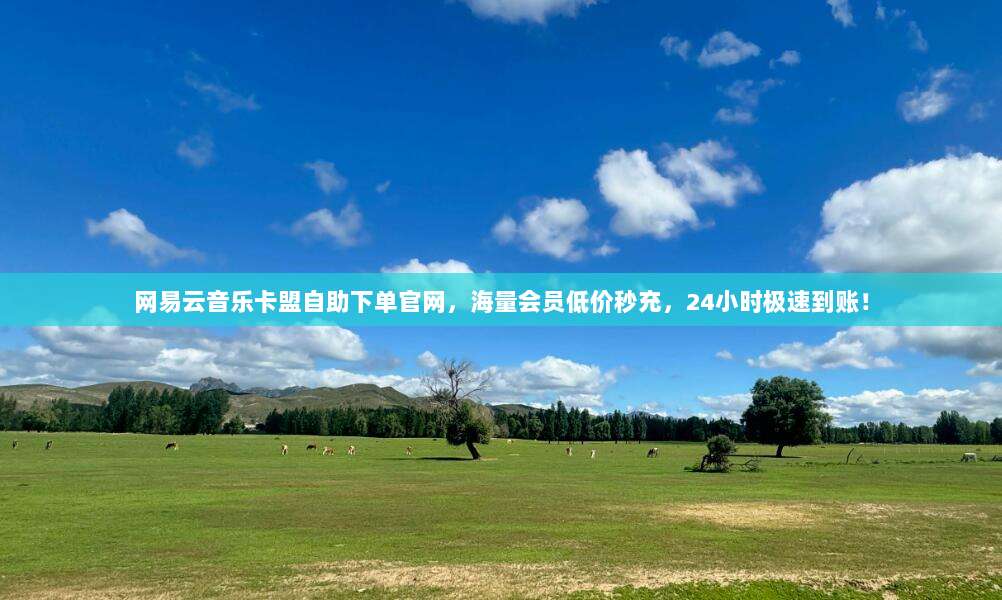 网易云音乐卡盟自助下单官网,海量会员低价秒充,24小时极速到账!