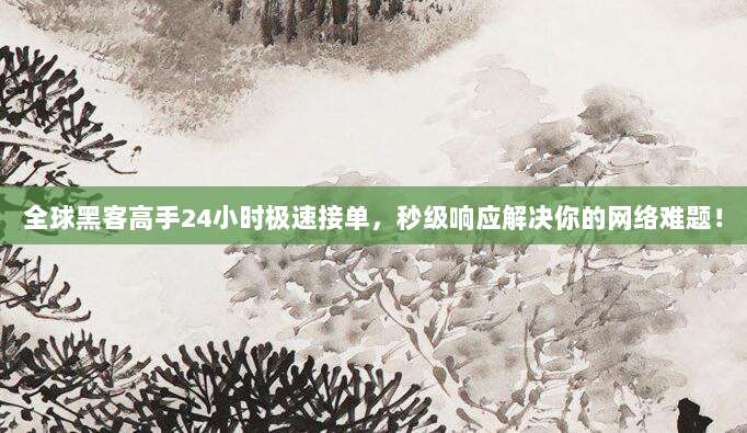 全球黑客高手24小时极速接单，秒级响应解决你的网络难题！