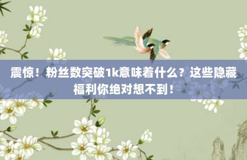 震惊!粉丝数突破1k意味着什么?这些隐藏福利你绝对想不到!