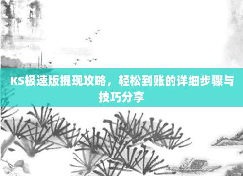 KS极速版提现攻略,轻松到账的详细步骤与技巧分享