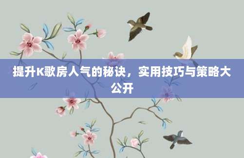 提升K歌房人气的秘诀，实用技巧与策略大公开