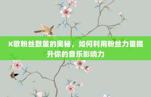 K歌粉丝数量的奥秘,如何利用粉丝力量提升你的音乐影响力
