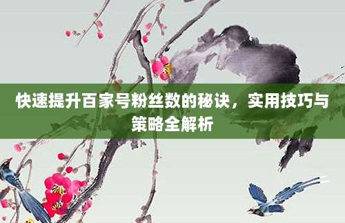 快速提升百家号粉丝数的秘诀,实用技巧与策略全解析