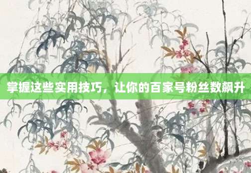掌握这些实用技巧,让你的百家号粉丝数飙升