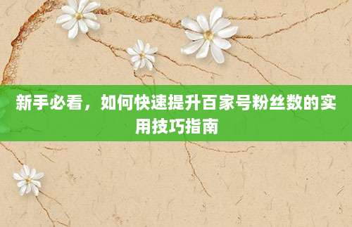 新手必看,如何快速提升百家号粉丝数的实用技巧指南
