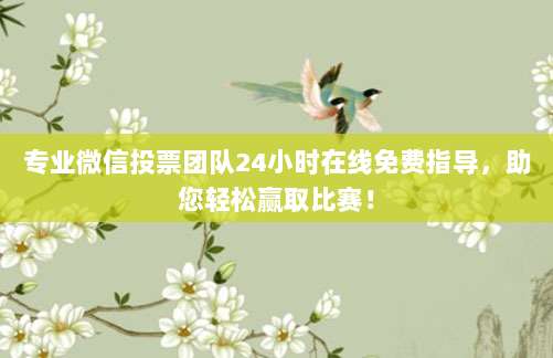 专业微信投票团队24小时在线免费指导,助您轻松赢取比赛!