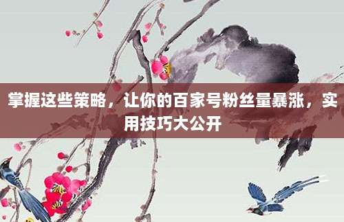 掌握这些策略,让你的百家号粉丝量暴涨,实用技巧大公开