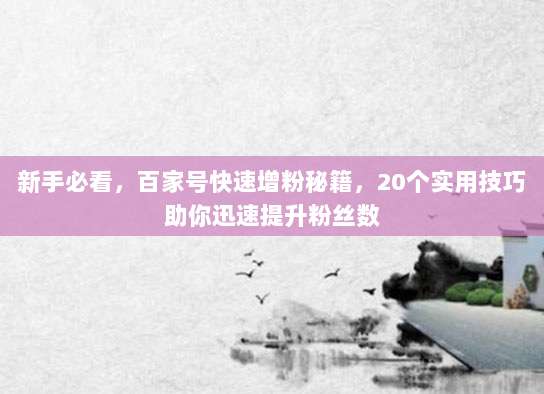 新手必看,百家号快速增粉秘籍,20个实用技巧助你迅速提升粉丝数