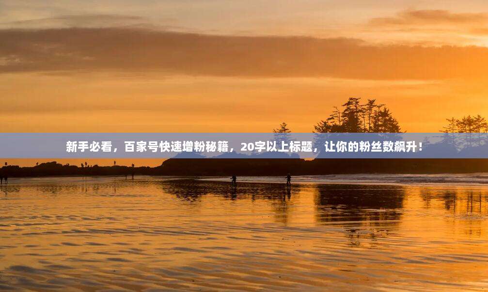 新手必看,百家号快速增粉秘籍,20字以上标题,让你的粉丝数飙升!