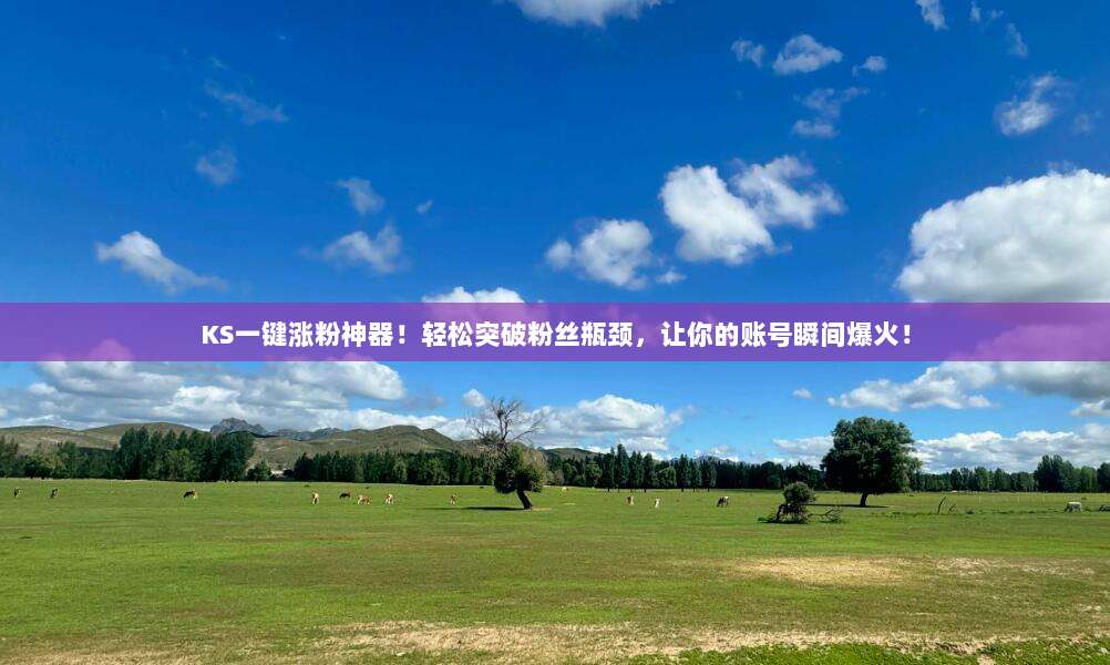 KS一键涨粉神器!轻松突破粉丝瓶颈,让你的账号瞬间爆火!