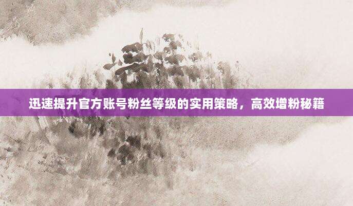 迅速提升官方账号粉丝等级的实用策略,高效增粉秘籍