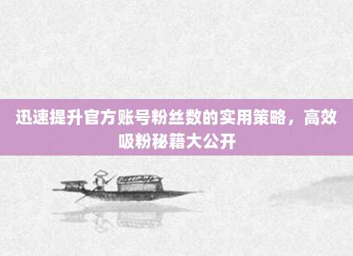 迅速提升官方账号粉丝数的实用策略，高效吸粉秘籍大公开