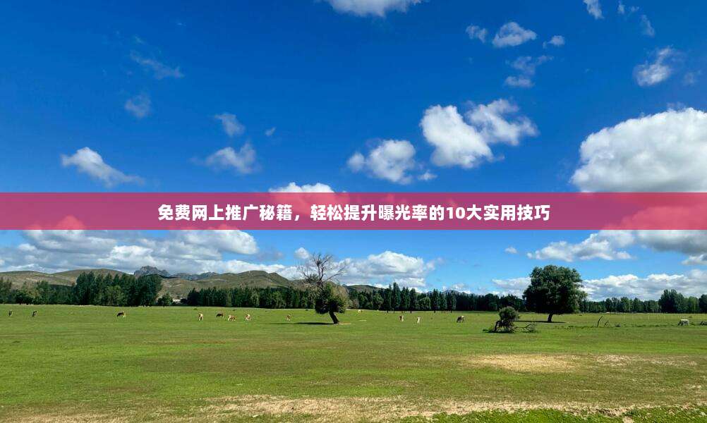 免费网上推广秘籍，轻松提升曝光率的10大实用技巧