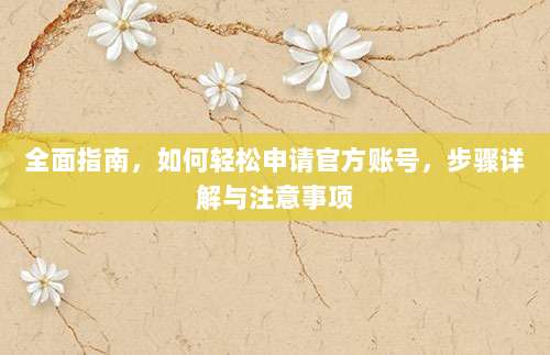 全面指南，如何轻松申请官方账号，步骤详解与注意事项