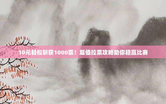 10元轻松斩获1000票!超值拉票攻略助你稳赢比赛