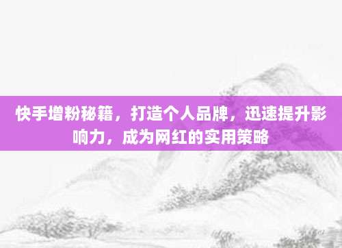 快手增粉秘籍，打造个人品牌，迅速提升影响力，成为网红的实用策略