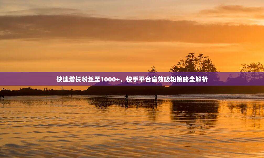 快速增长粉丝至1000+,快手平台高效吸粉策略全解析