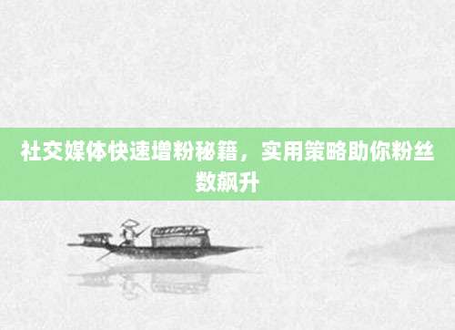 社交媒体快速增粉秘籍,实用策略助你粉丝数飙升
