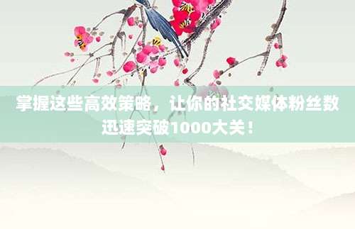 掌握这些高效策略,让你的社交媒体粉丝数迅速突破1000大关!