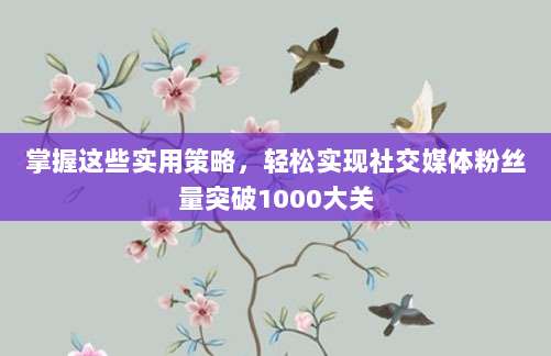 掌握这些实用策略,轻松实现社交媒体粉丝量突破1000大关