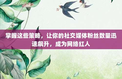 掌握这些策略,让你的社交媒体粉丝数量迅速飙升,成为网络红人