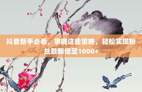 抖音新手必看,掌握这些策略,轻松实现粉丝数翻倍至1000+