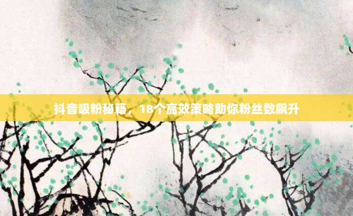 抖音吸粉秘籍，18个高效策略助你粉丝数飙升