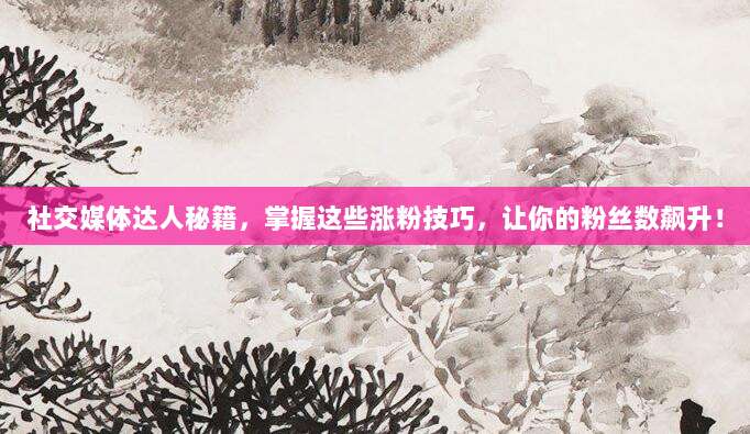 社交媒体达人秘籍,掌握这些涨粉技巧,让你的粉丝数飙升!