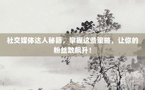 社交媒体达人秘籍,掌握这些策略,让你的粉丝数飙升!