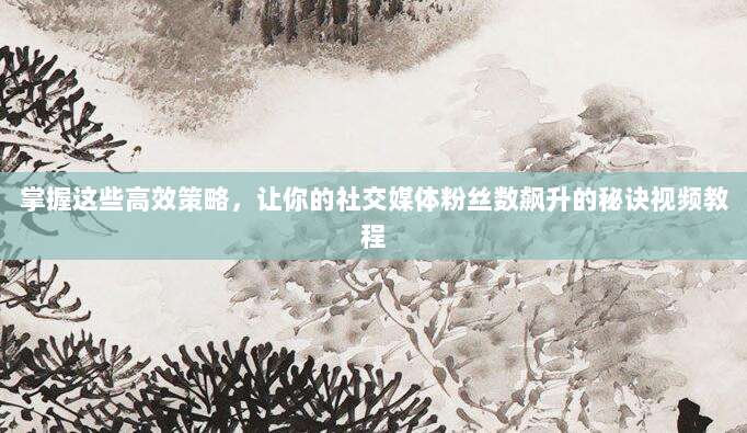 掌握这些高效策略,让你的社交媒体粉丝数飙升的秘诀视频教程