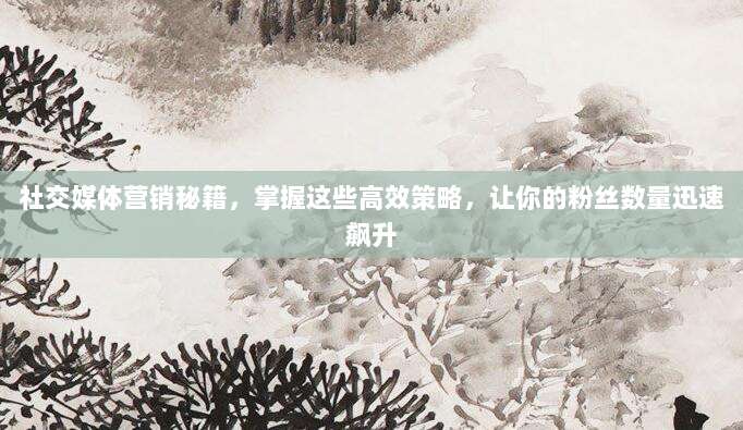 社交媒体营销秘籍,掌握这些高效策略,让你的粉丝数量迅速飙升