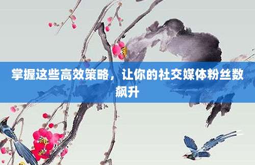 掌握这些高效策略,让你的社交媒体粉丝数飙升