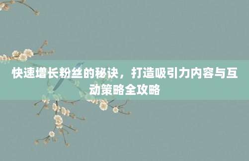 快速增长粉丝的秘诀,打造吸引力内容与互动策略全攻略