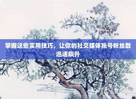 掌握这些实用技巧,让你的社交媒体账号粉丝数迅速飙升