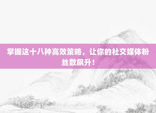 掌握这十八种高效策略,让你的社交媒体粉丝数飙升!