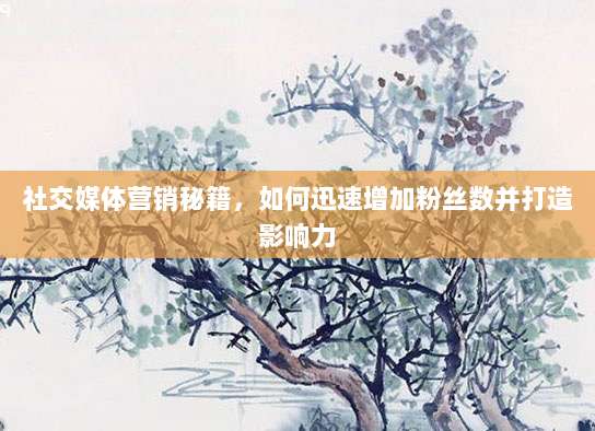 社交媒体营销秘籍,如何迅速增加粉丝数并打造影响力