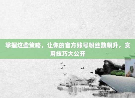 掌握这些策略,让你的官方账号粉丝数飙升,实用技巧大公开
