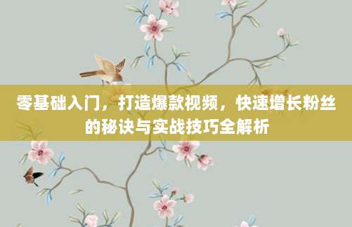 零基础入门,打造爆款视频,快速增长粉丝的秘诀与实战技巧全解析