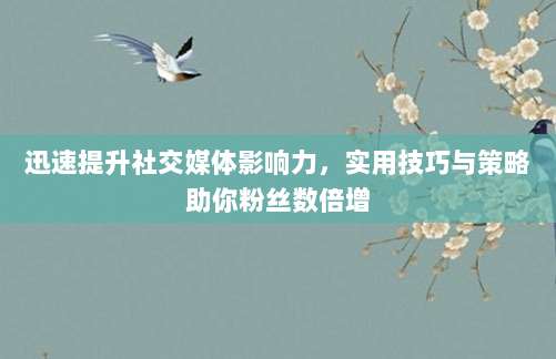 迅速提升社交媒体影响力,实用技巧与策略助你粉丝数倍增