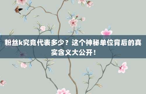 粉丝k究竟代表多少?这个神秘单位背后的真实含义大公开!