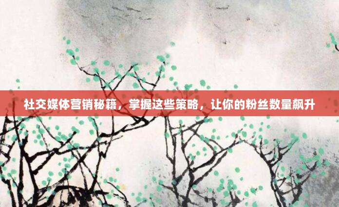 社交媒体营销秘籍,掌握这些策略,让你的粉丝数量飙升
