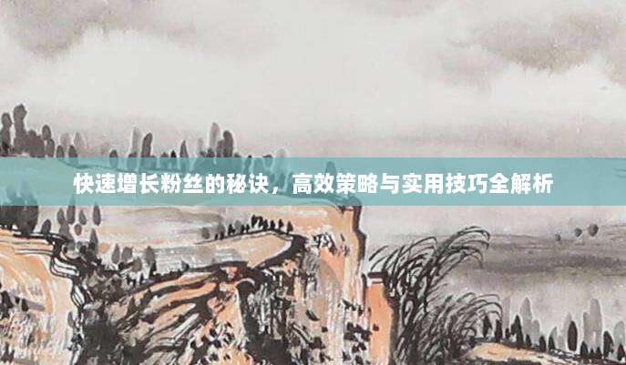 快速增长粉丝的秘诀,高效策略与实用技巧全解析
