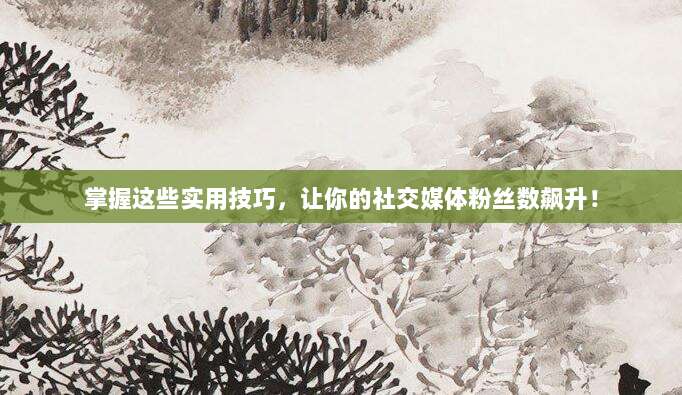 掌握这些实用技巧,让你的社交媒体粉丝数飙升!