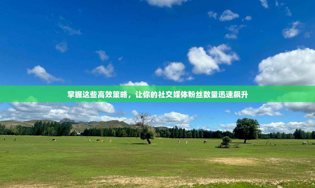 掌握这些高效策略,让你的社交媒体粉丝数量迅速飙升