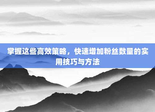 掌握这些高效策略,快速增加粉丝数量的实用技巧与方法