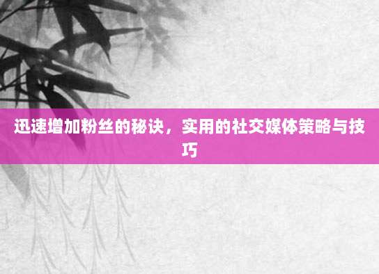 迅速增加粉丝的秘诀,实用的社交媒体策略与技巧