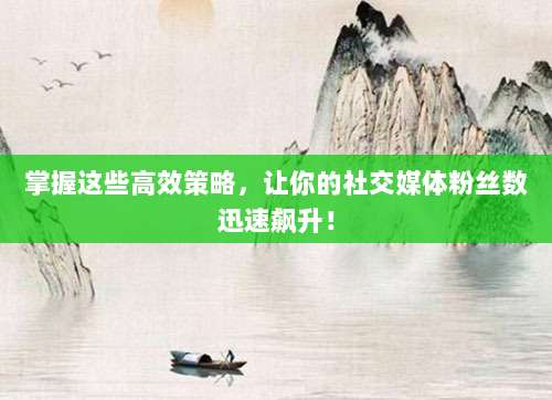 掌握这些高效策略,让你的社交媒体粉丝数迅速飙升!